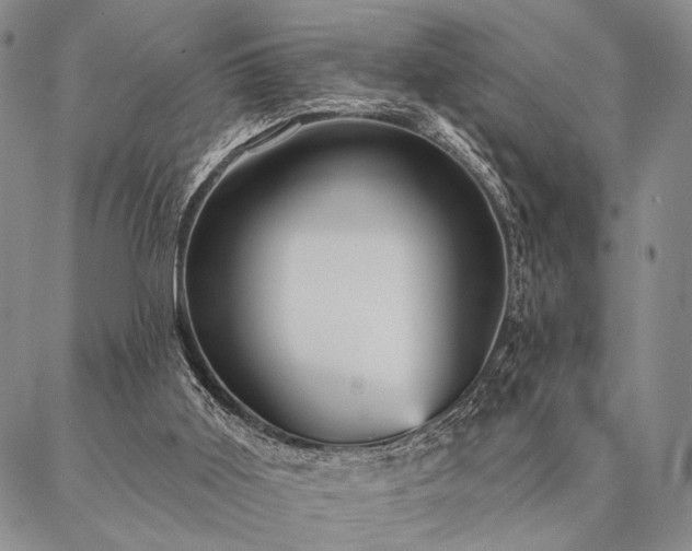 X0000087380011200704271609