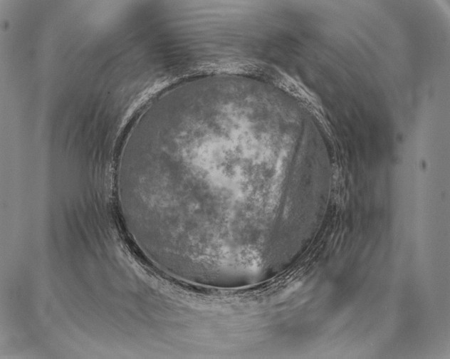 X0000087380012200704271609