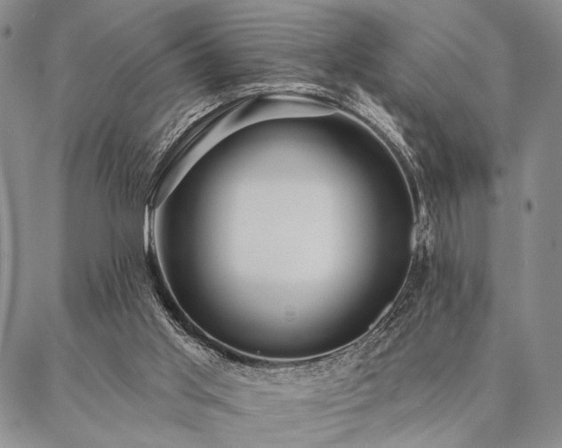 X0000087380013200704271609