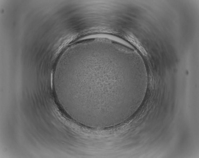 X0000087380014200704271609