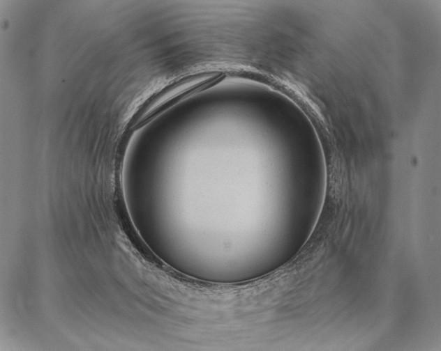 X0000087380015200704271608