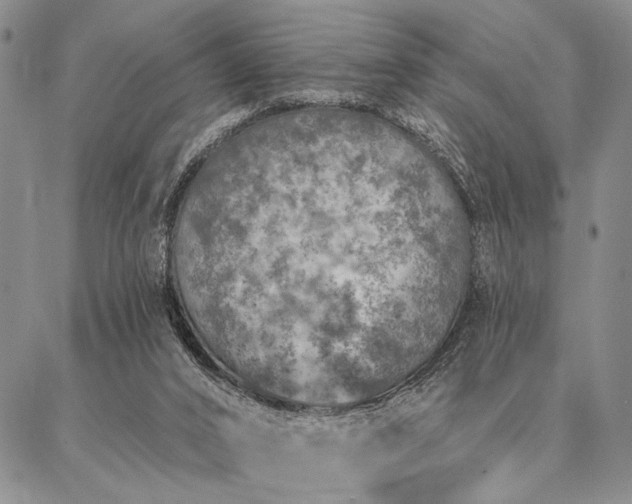 X0000087380016200704271608