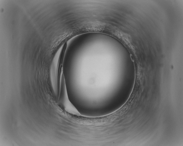 X0000087380017200704271608