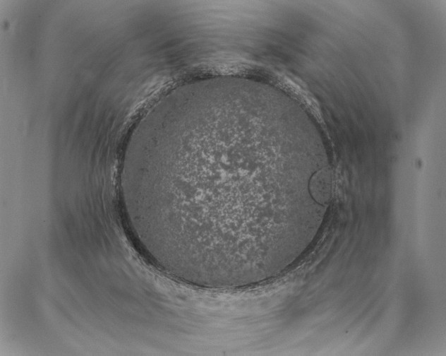 X0000087380018200704271608