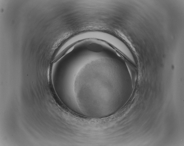 X0000087380019200704271608