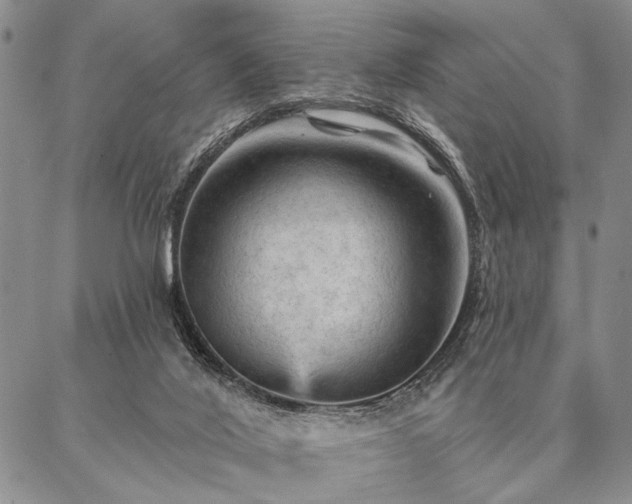 X0000087380020200704271608