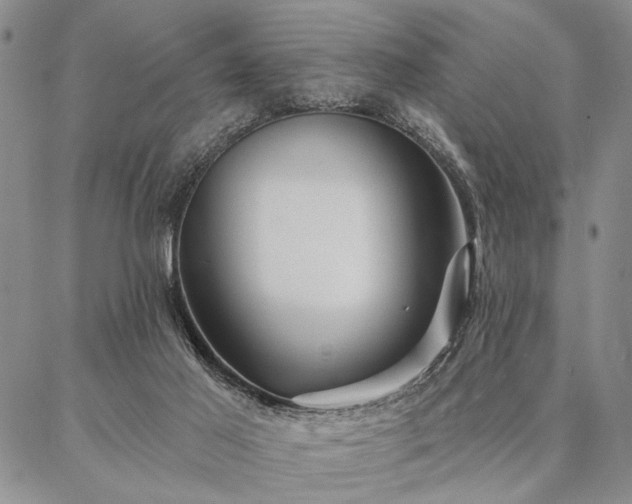 X0000087380021200704271608