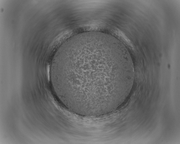 X0000087380022200704271608