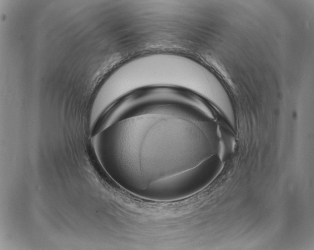 X0000087380023200704271608