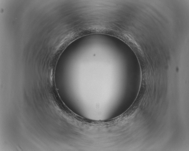 X0000087380024200704271608