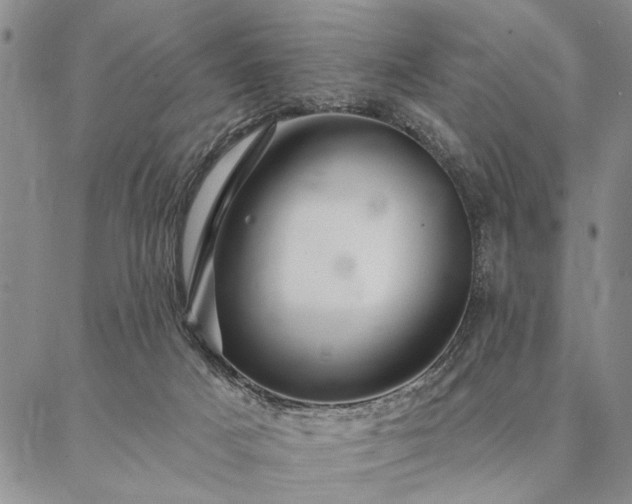 X0000087380025200704271608