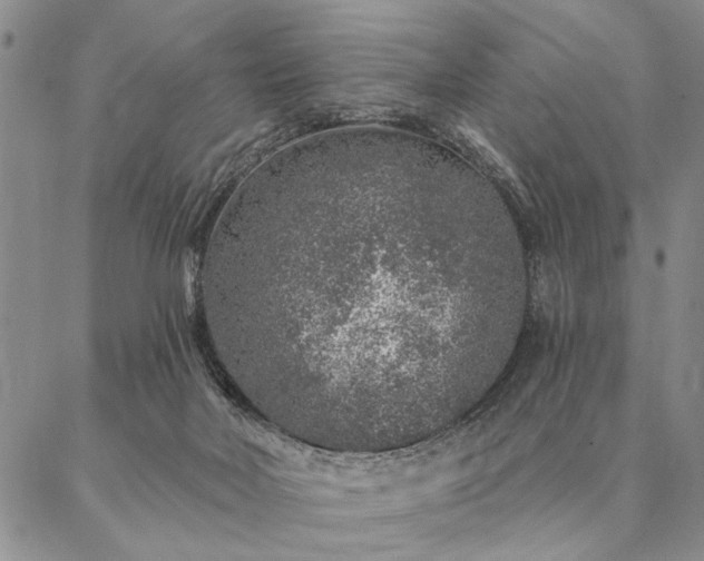 X0000087380026200704271608