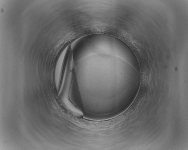 X0000087380027200704271608