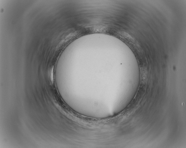 X0000087380028200704271608