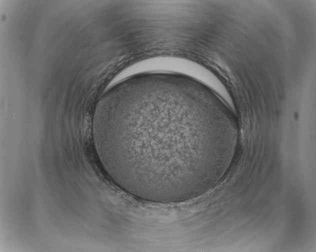 X0000087380029200704271608