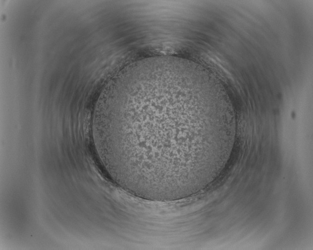 X0000087380030200704271608