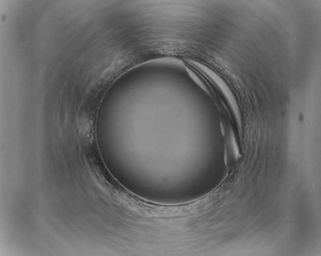 X0000087380031200704271608