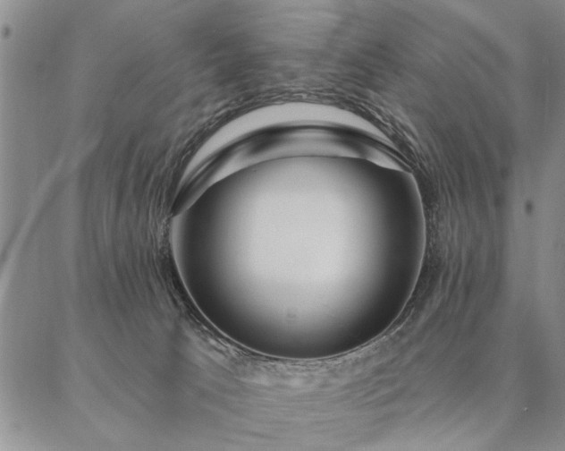 X0000087380033200704271608