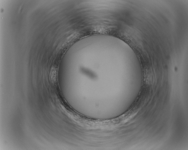 X0000087380036200704271608