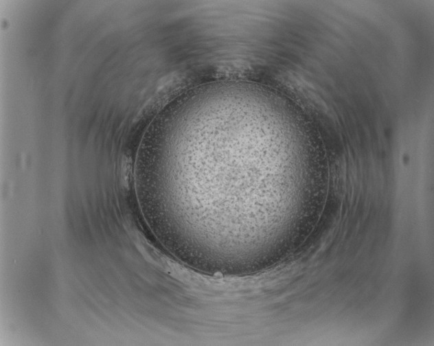 X0000087380038200704271608