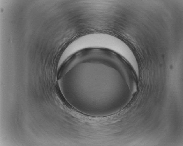 X0000087380039200704271608