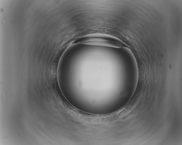 X0000087380040200704271608