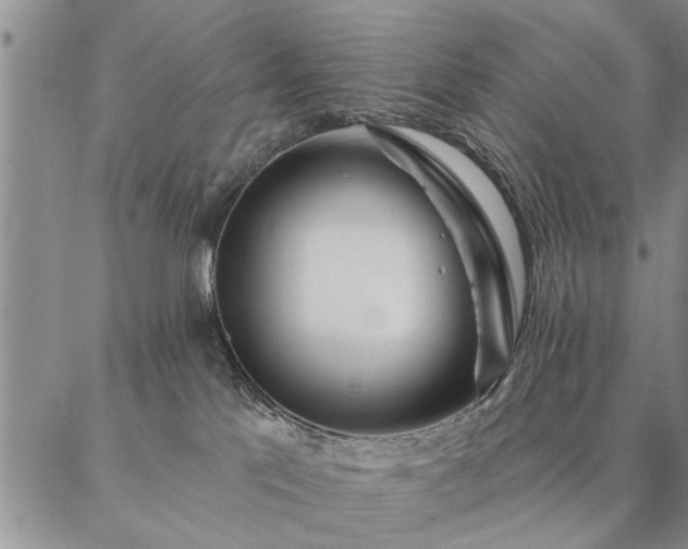 X0000087380041200704271608