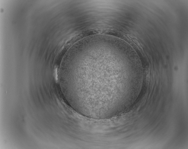 X0000087380042200704271608