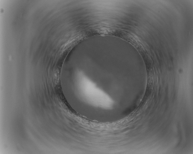 X0000087380043200704271608