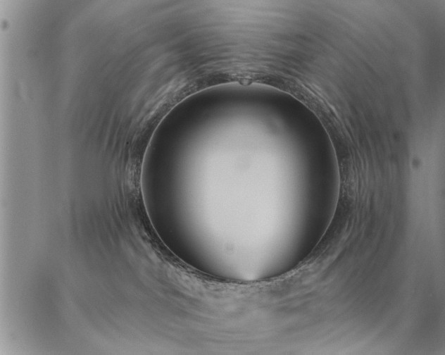 X0000087380044200704271608