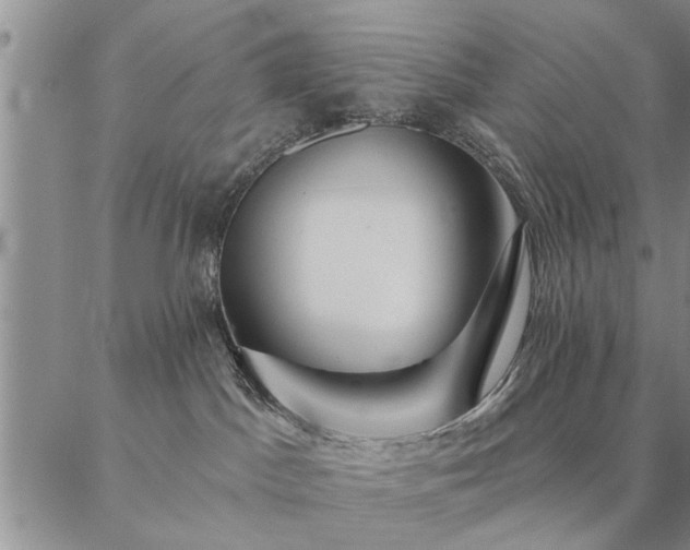 X0000087380045200704271608