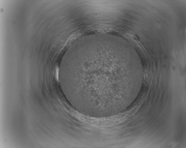 X0000087380046200704271608