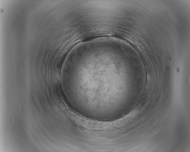 X0000087380048200704271608