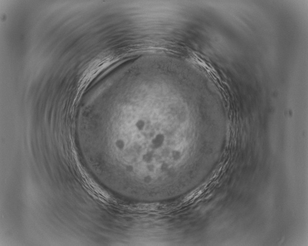 X0000087380049200704271607