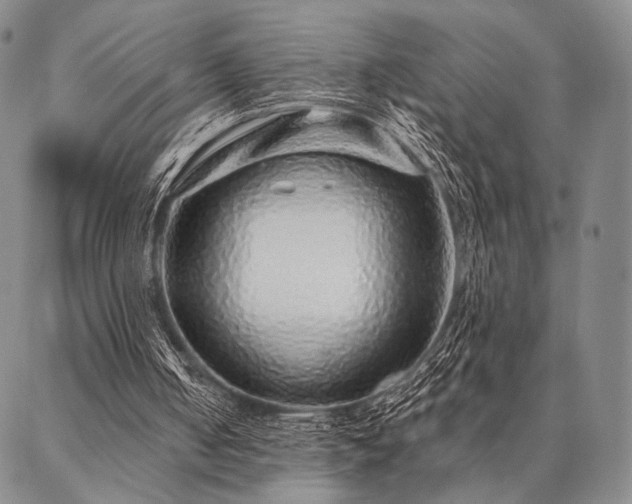 X0000087380050200704271607