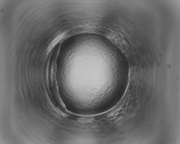 X0000087380051200704271607