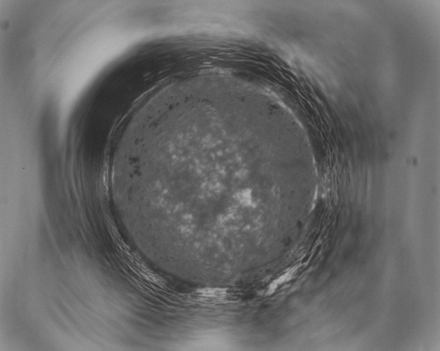 X0000087380052200704271607