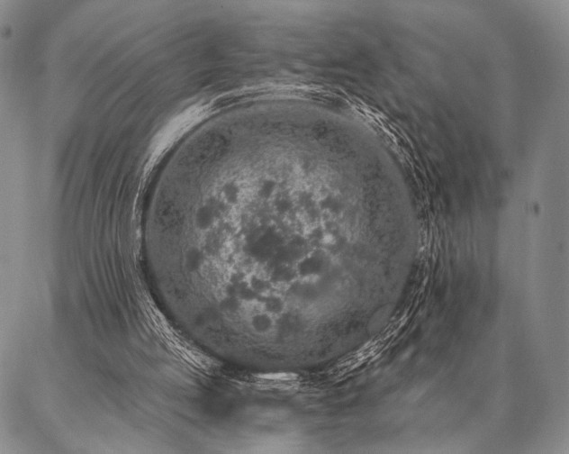 X0000087380053200704271607