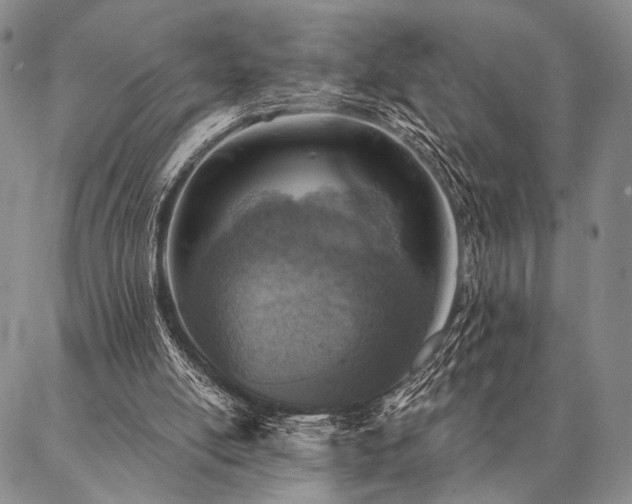 X0000087380054200704271607