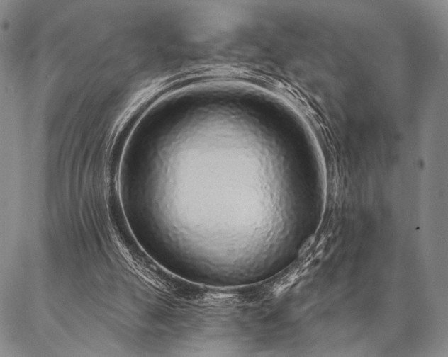 X0000087380055200704271607