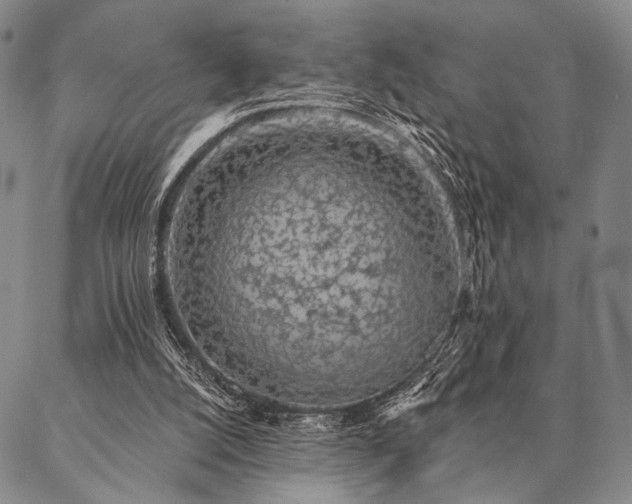 X0000087380056200704271607