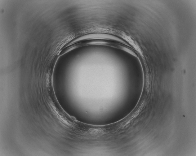 X0000087380057200704271607