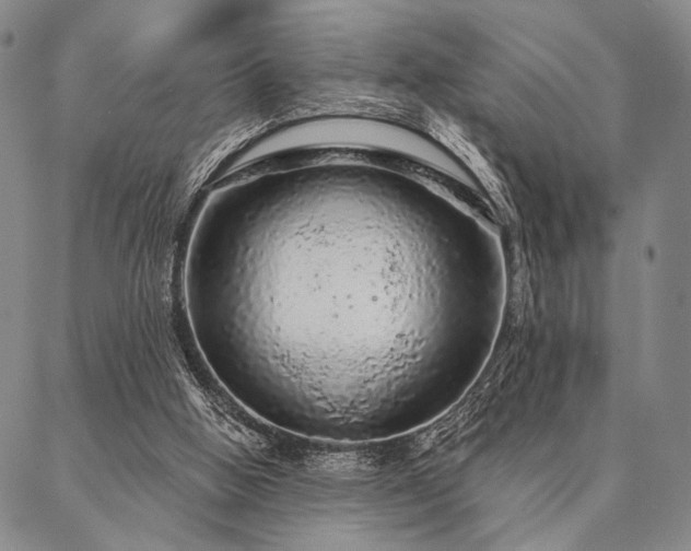 X0000087380058200704271607