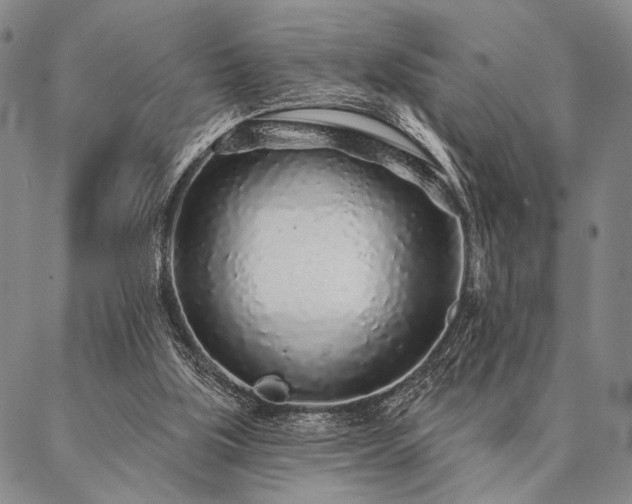 X0000087380059200704271607