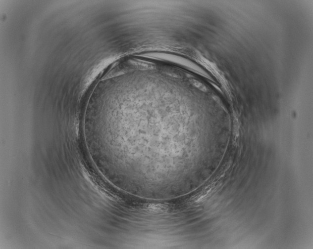 X0000087380060200704271607