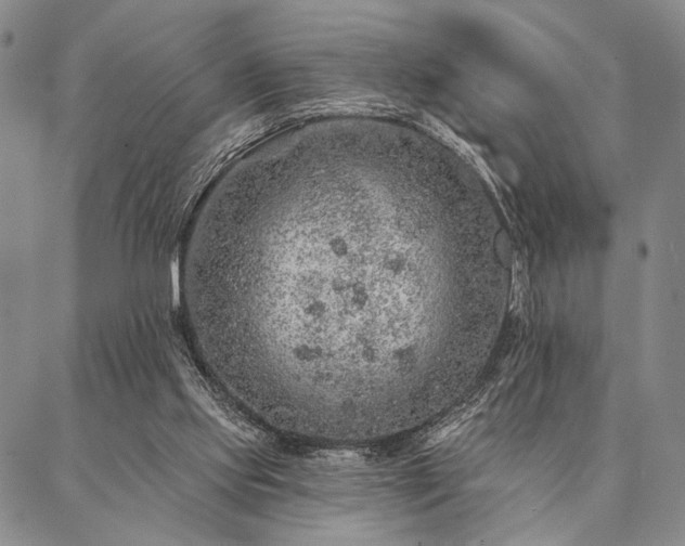 X0000087380061200704271607