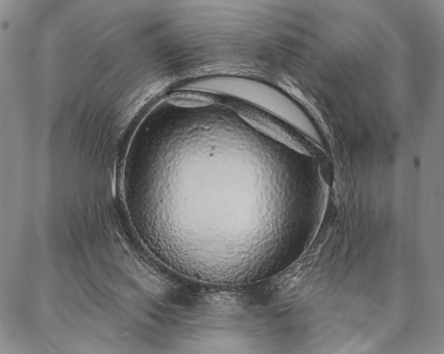 X0000087380062200704271607