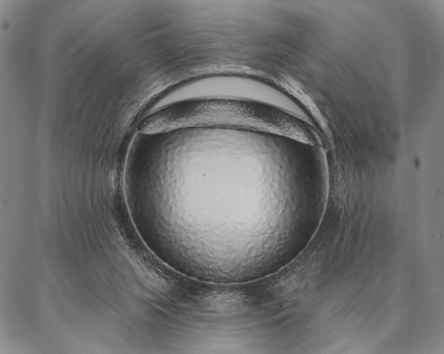 X0000087380063200704271607