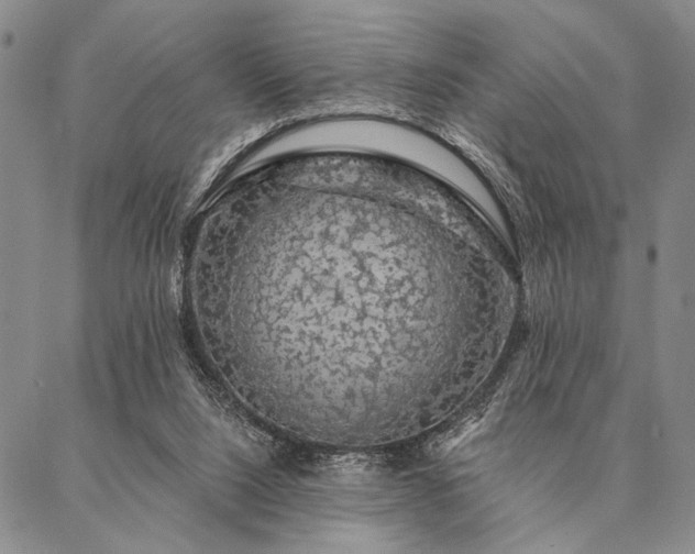 X0000087380064200704271607