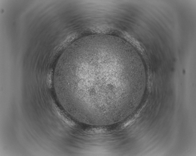 X0000087380065200704271607